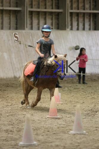 Kerguelen-equitation-1F4A4615