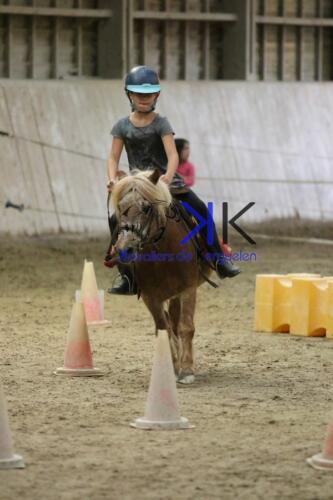 Kerguelen-equitation-1F4A4616