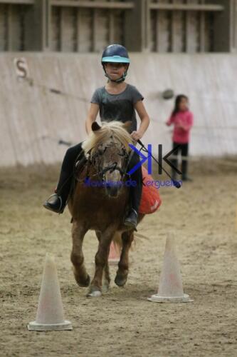 Kerguelen-equitation-1F4A4617