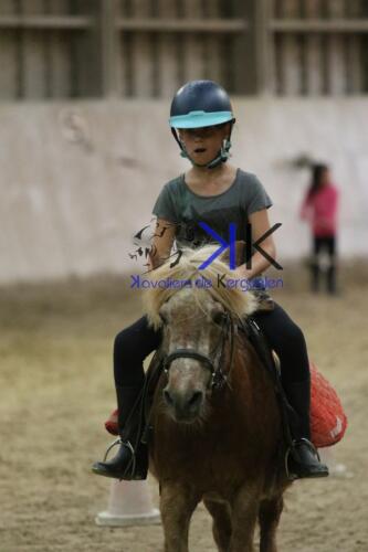 Kerguelen-equitation-1F4A4618