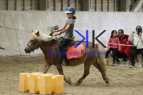 Kerguelen-equitation-1F4A4622