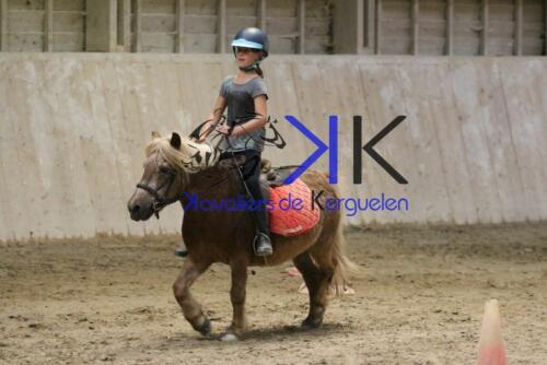 Kerguelen-equitation-1F4A4623