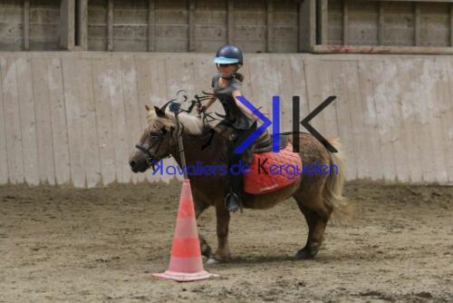 Kerguelen-equitation-1F4A4625