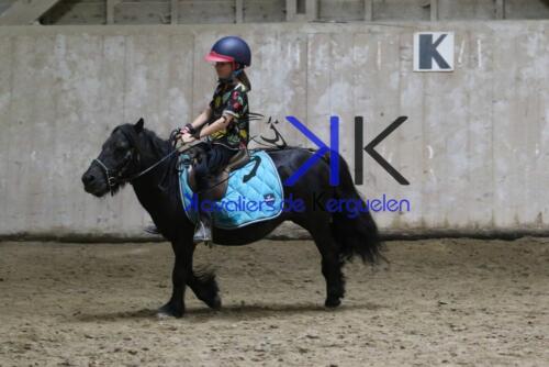 Kerguelen-equitation-1F4A4628