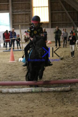 Kerguelen-equitation-1F4A4635