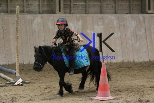 Kerguelen-equitation-1F4A4640