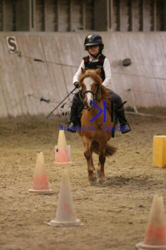 Kerguelen-equitation-1F4A4644