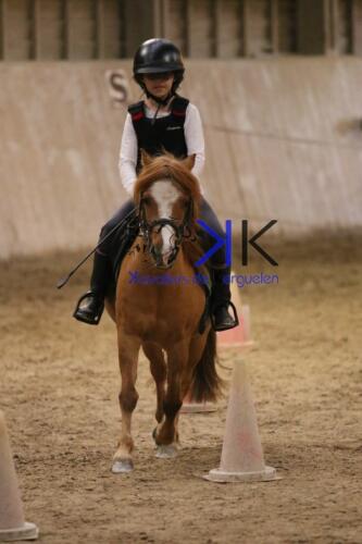 Kerguelen-equitation-1F4A4645