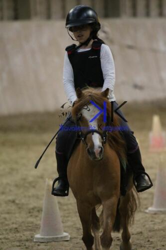 Kerguelen-equitation-1F4A4646