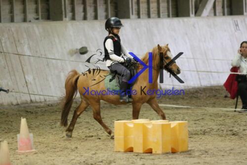 Kerguelen-equitation-1F4A4647