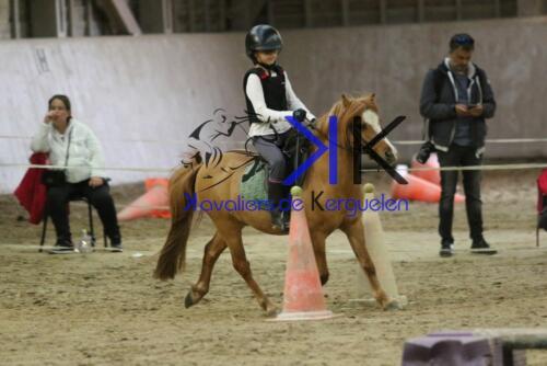 Kerguelen-equitation-1F4A4648