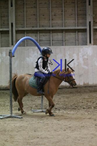 Kerguelen-equitation-1F4A4650