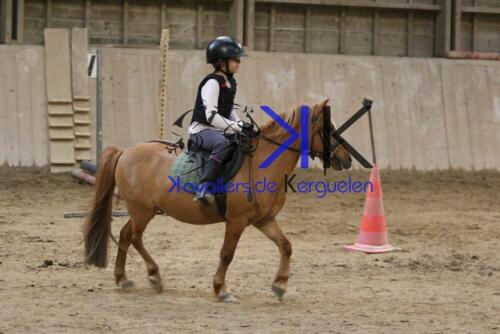 Kerguelen-equitation-1F4A4651