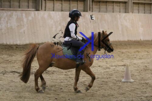 Kerguelen-equitation-1F4A4652