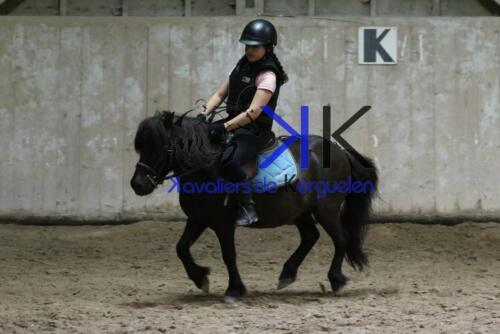 Kerguelen-equitation-1F4A4658