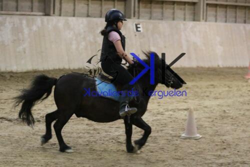 Kerguelen-equitation-1F4A4666