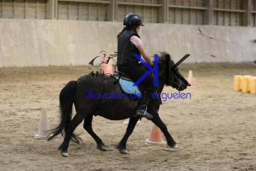 Kerguelen-equitation-1F4A4667