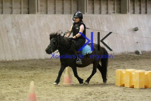 Kerguelen-equitation-1F4A4669