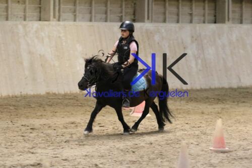 Kerguelen-equitation-1F4A4670