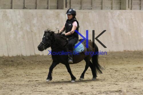 Kerguelen-equitation-1F4A4671