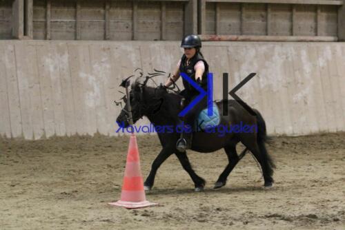 Kerguelen-equitation-1F4A4672