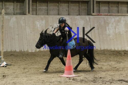 Kerguelen-equitation-1F4A4673