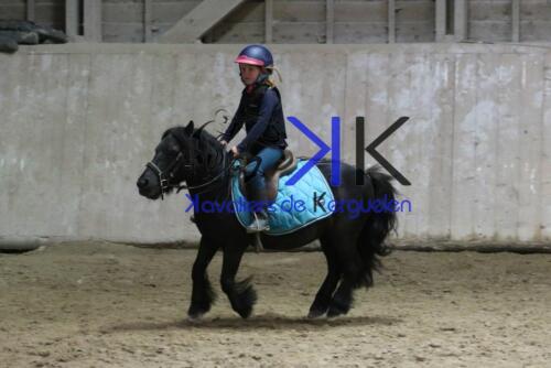 Kerguelen-equitation-1F4A4681