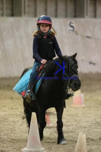 Kerguelen-equitation-1F4A4683