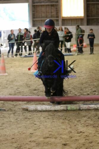 Kerguelen-equitation-1F4A4686