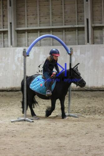 Kerguelen-equitation-1F4A4687