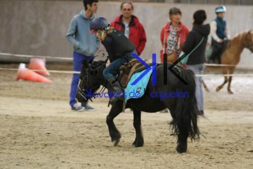 Kerguelen-equitation-1F4A4689