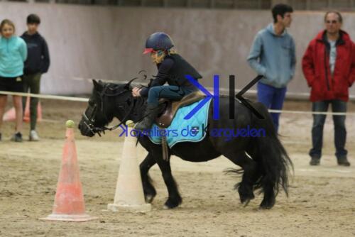 Kerguelen-equitation-1F4A4690