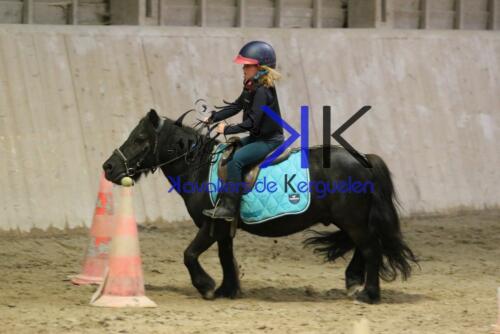 Kerguelen-equitation-1F4A4691