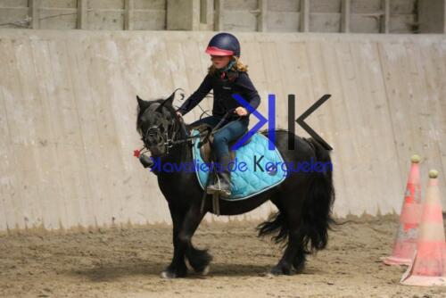 Kerguelen-equitation-1F4A4692