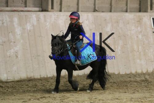 Kerguelen-equitation-1F4A4693