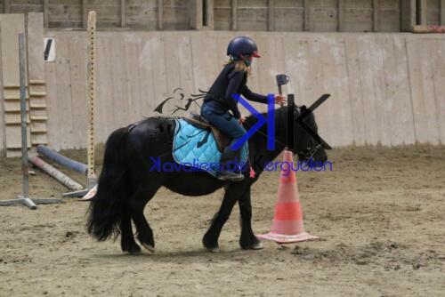 Kerguelen-equitation-1F4A4694