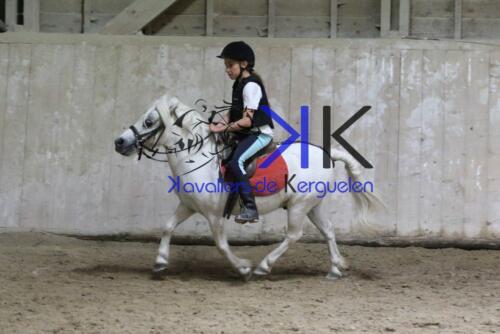 Kerguelen-equitation-1F4A4697