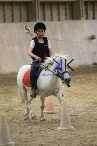 Kerguelen-equitation-1F4A4699