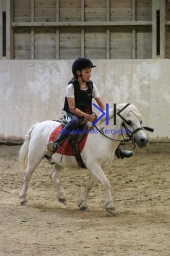 Kerguelen-equitation-1F4A4704