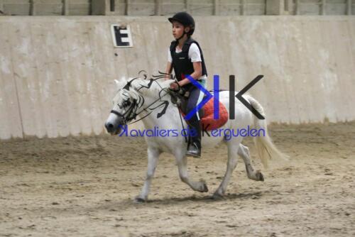 Kerguelen-equitation-1F4A4706