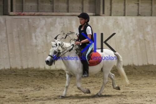 Kerguelen-equitation-1F4A4707