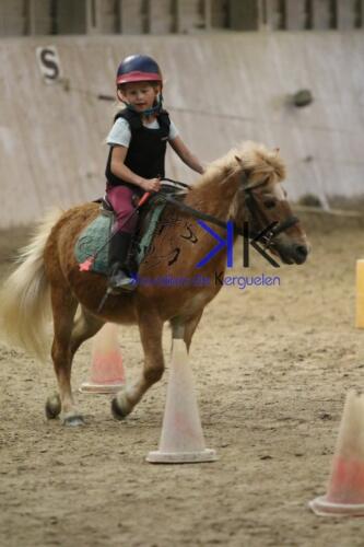 Kerguelen-equitation-1F4A4712