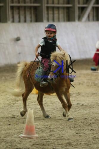 Kerguelen-equitation-1F4A4713