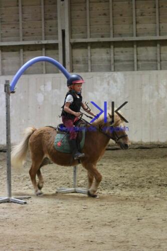 Kerguelen-equitation-1F4A4717