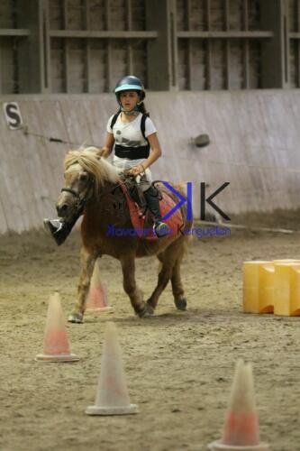 Kerguelen-equitation-1F4A4726