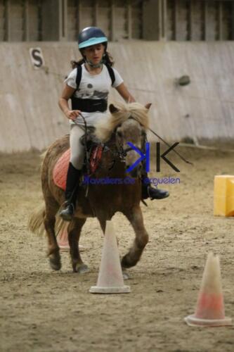 Kerguelen-equitation-1F4A4727