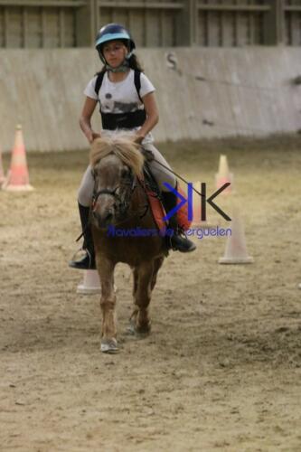 Kerguelen-equitation-1F4A4728