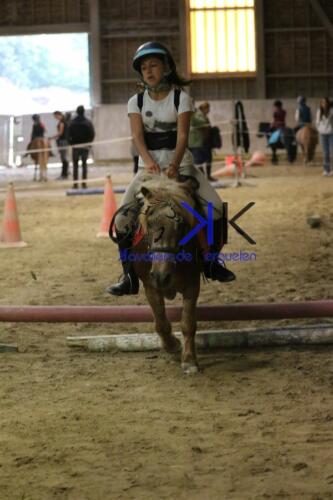 Kerguelen-equitation-1F4A4730