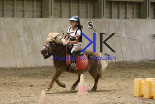 Kerguelen-equitation-1F4A4733