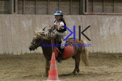 Kerguelen-equitation-1F4A4735